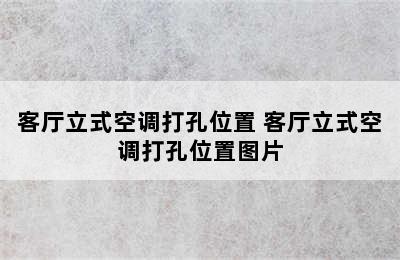 客厅立式空调打孔位置 客厅立式空调打孔位置图片